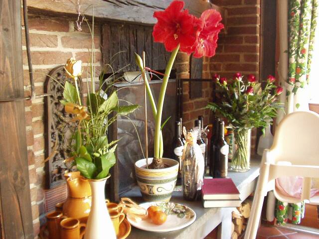 Goldene Hochzeit 21.03.2003 - Auswahl