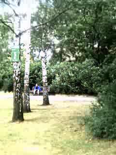 Karin Volkspark Rehberge