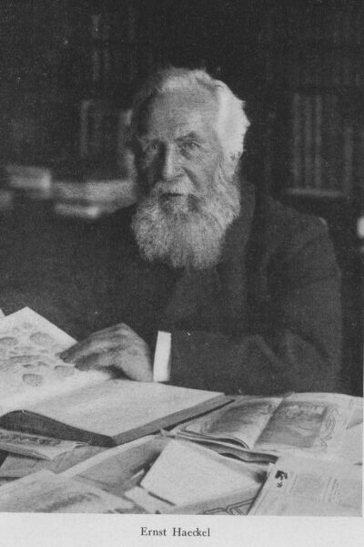 Haeckel ca. 1910