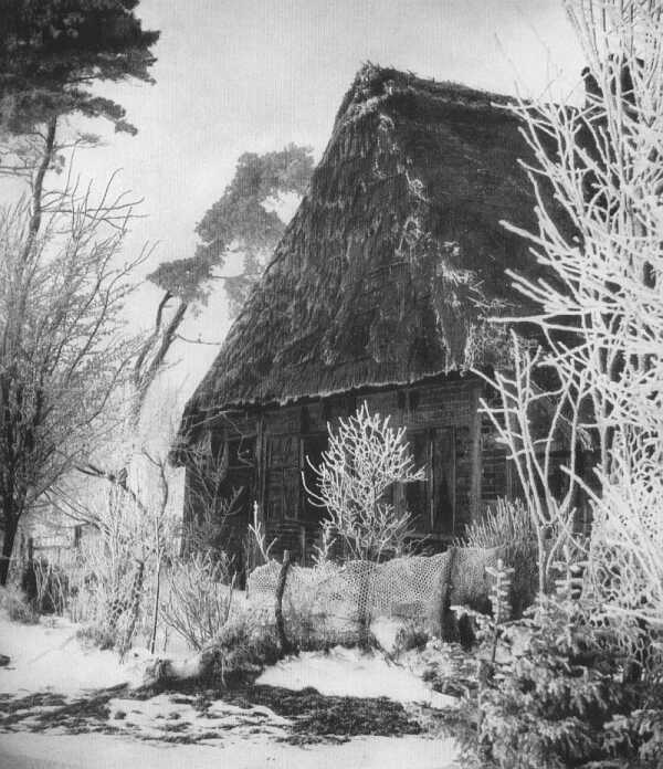 Erster Schnee und Raureif (63 KB)