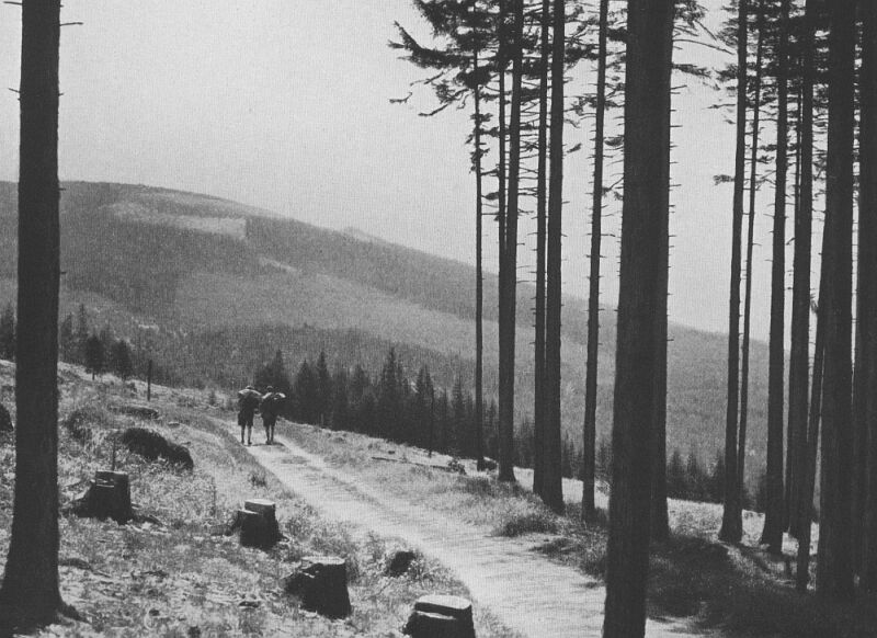 Vom deutschen Jugendwandern